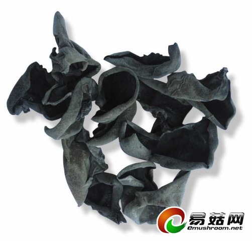椴木黑木耳