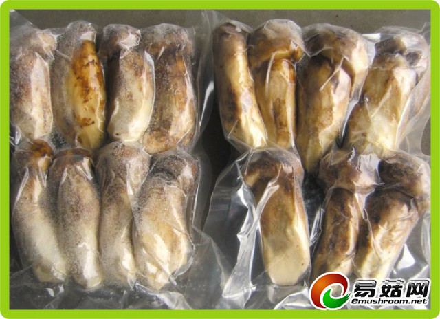 速冻松茸