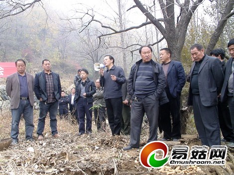 王坪乡两河村大田种植天麻喜获丰收