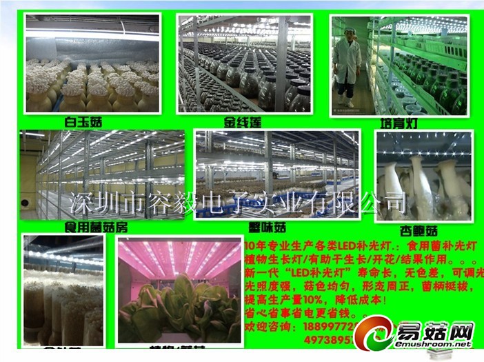 Manbetx体育手机版推荐A9版本21