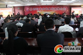 香菇文化节助力庆元招商引资发展