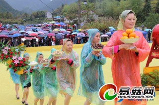“香菇始祖——吴三公”祭祀大典隆重举行