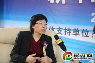 谭琦：香菇工厂化生产将会成为香菇产业发展的趋势