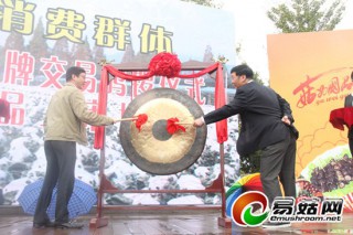 渤海商品交易所黑木耳上市鸣锣仪式启动