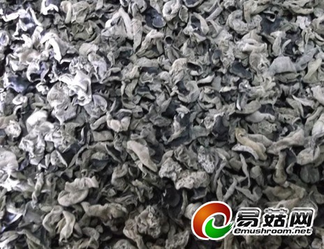 4黑木耳1