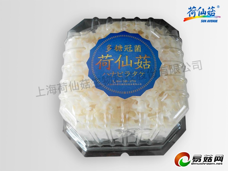 T2uRs_XXRXXXXXXXXX_!!650568340