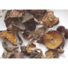 优质松蘑、滑子菇