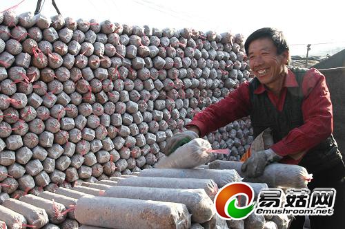 平泉县以工代赈促进Manbetx体育手机版推荐A9版本产业大发展 平泉县以工代赈促进Manbetx体育手机版推荐A9版本产业大发展