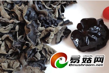 采珍园东北黑木耳黑龙江黑木耳哈尔滨黑木耳批发 (8)