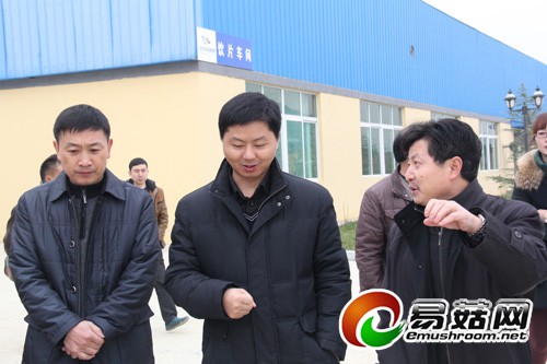 德江县委副书记黄继荣（左）、易菇网总裁张升明（中）、贵州洋山河集团董事长蔡大棣（右）