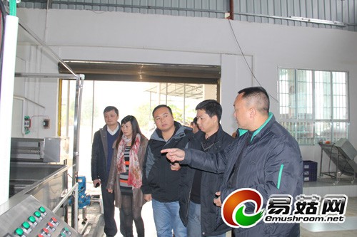 德江县康奇药植有限责任公司总经理张玉兴（右一）介绍自主研发的全自动天麻清洗烘干流水线