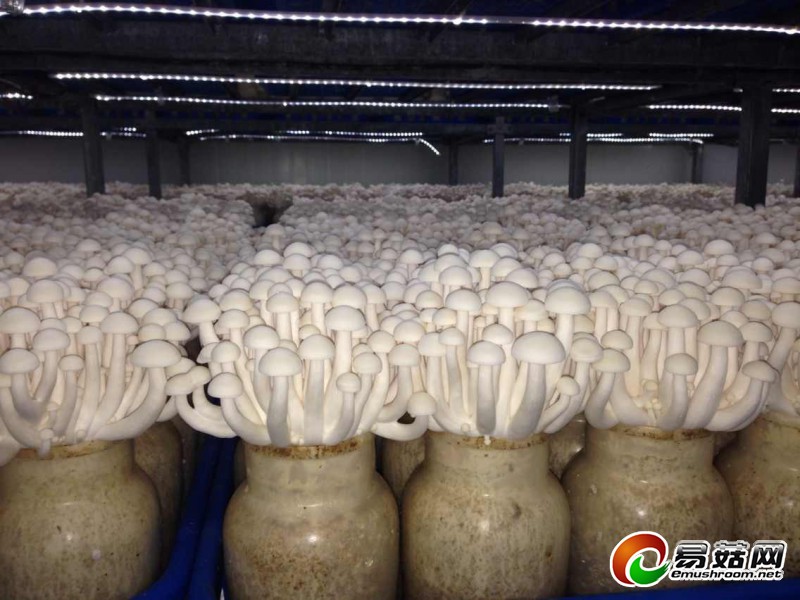 QQ图片20140103002302