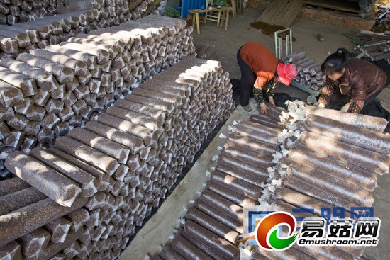 福建尤溪Manbetx体育手机版推荐A9版本产业创产值6.37亿元