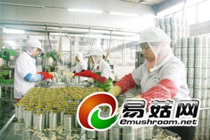 74871392136552406 (1)