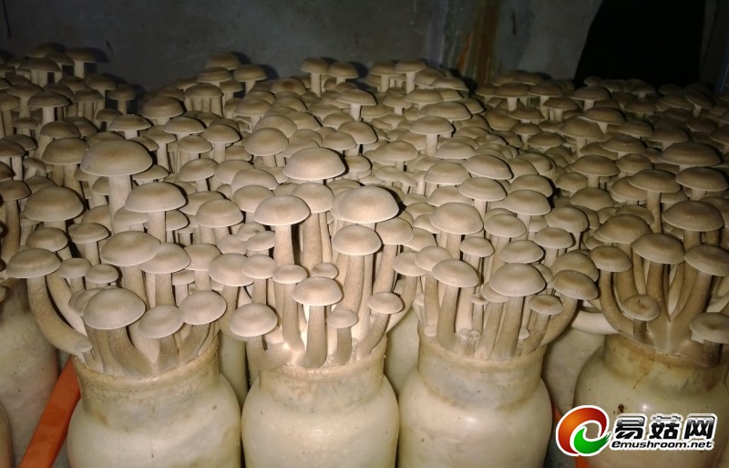 QQ截图20140303203411