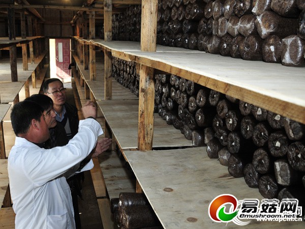 3b3a13c2-e757-44d2-964a-3b6c0feefbe8