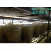 金针菇保鲜冷库安装蘑菇保鲜冷库制作公司