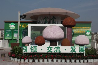 中国Manbetx体育手机版V17版本发布.官网安卓网.香港大会暨2014中国（四川·金堂）新技术新产品菌需物资博览会