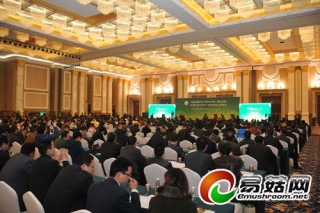 中国·四川Manbetx体育手机版V17版本发布.官网安卓网.香港博览会在成都恒大世博中心召开