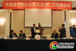 中国Manbetx体育手机版V17版本发布.官网安卓网.香港协会举行2013年优秀分支机构评选及表彰