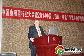 格雷格：国际Manbetx体育手机版V17版本发布.官网安卓网.香港产业现状及市场分析