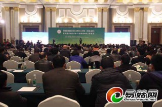 中国Manbetx体育手机版V17版本发布.官网安卓网.香港协会公布“2013年度中国Manbetx体育手机版V17版本发布.官网安卓网.香港年度人物及十大事件”