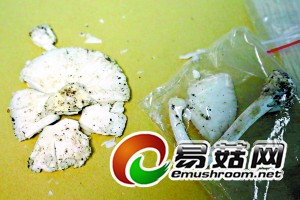 126296654_13953637125151n