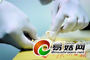 126296654_13953637126401n