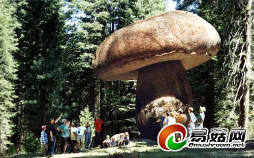 BT8YvLr5nji8i-JuV7uHtgX-S_7ni4hsKkw0gnCMLOMgAwAAFAIAAEpQ_645x428