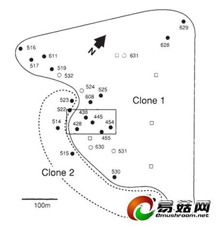 IND8xKPsj_u1qaK6iyBVRouk0YFgSqw4Or2gJ2qiGTzNAQAAGwIAAFBO