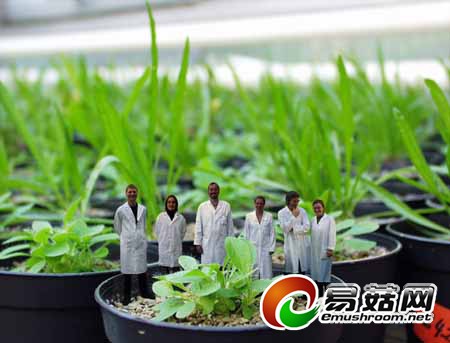 Tsk81UMPL0NeHx2V4Pcpsw4Soq4ddXdppQGNrSwFAWggAwAAfwIAAEpQ_645x515