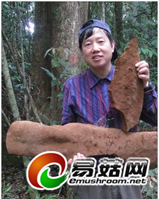 TY_Y2DdqijyqyNYEn4EcROoMVaPfc1oGJvyfumZr3RDkAAAAMgEAAFBO