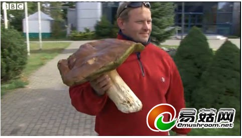 pjggivhnAclOUEb1Wkpr4_EXEU-oZd2olsaQES4E66niAQAAFAEAAFBO副本