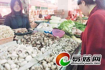 xin_330202071323569319609