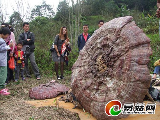 2014-04-05-09-21-51-152389-w