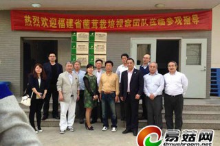 平野培养中心参观绿宝杏鲍菇工厂