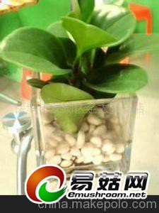 u=1379671923,1782403639&fm=23&gp=0[1]