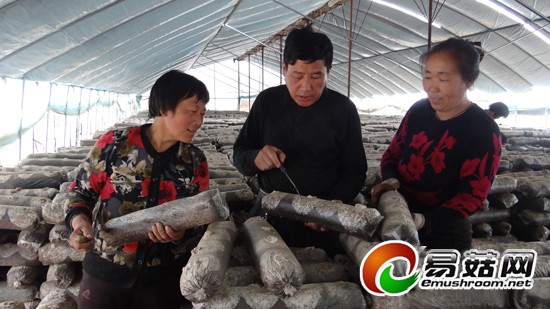 3f88150a-8da8-46e7-b078-5e4639773427