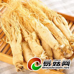 u=4156617455,268422556&fm=23&gp=0