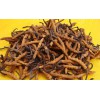 求购昆明虫草虫草回收