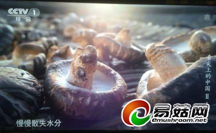 u=4224549930,2441310954&fm=11&gp=0