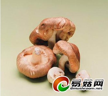 1110388453_13983058608841n