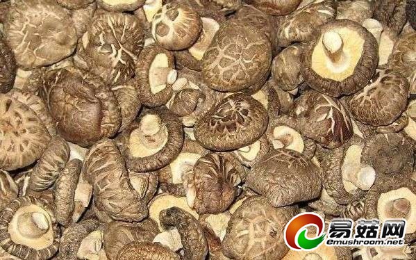 x1_1.1350954837_599_374_112103