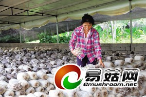 1110459690_13987374724061n