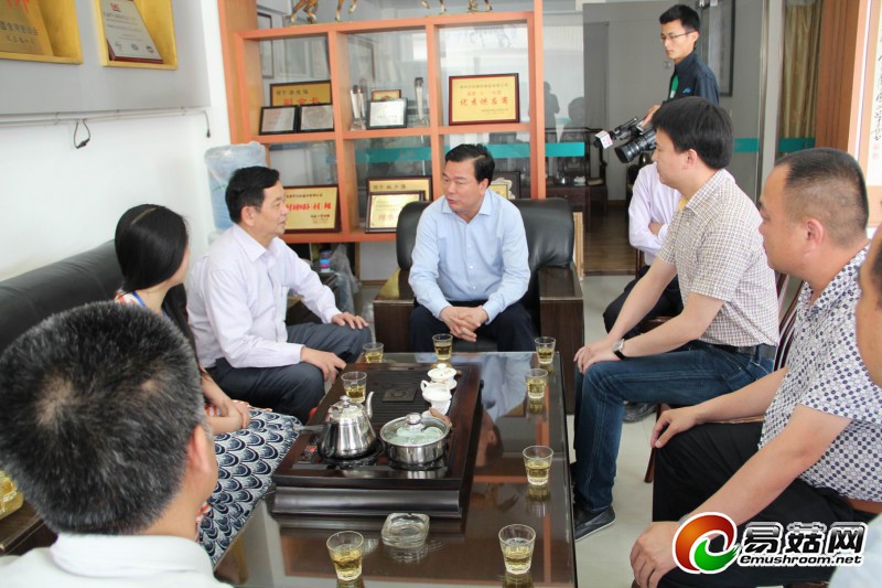 陈家东书记到研究所8