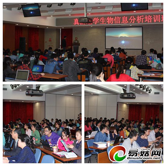 %E5%9F%B9%E8%AE%AD%E7%8E%B0%E5%9C%BA