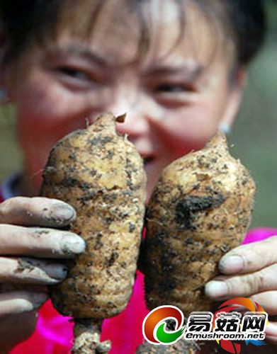 20140424153034_86574