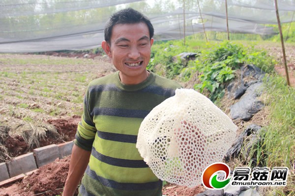 xinhua_sc_yibin201458111027.730282