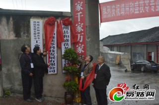 靖州县和盛茯苓专业合作社成立