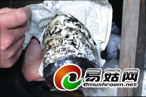 20140514A315_res08_attpic_icon